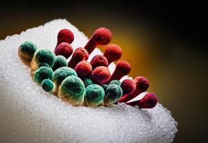 Imagem para o artigo: Micoses: O Alimento Surpreendente que Agrava a Infecção (e Como Evitar)